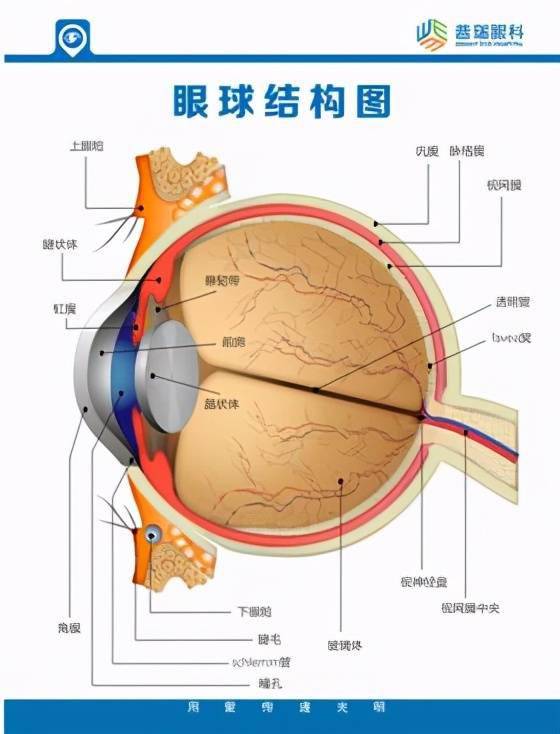 远离虚荣诱惑，拥抱健康向上生活